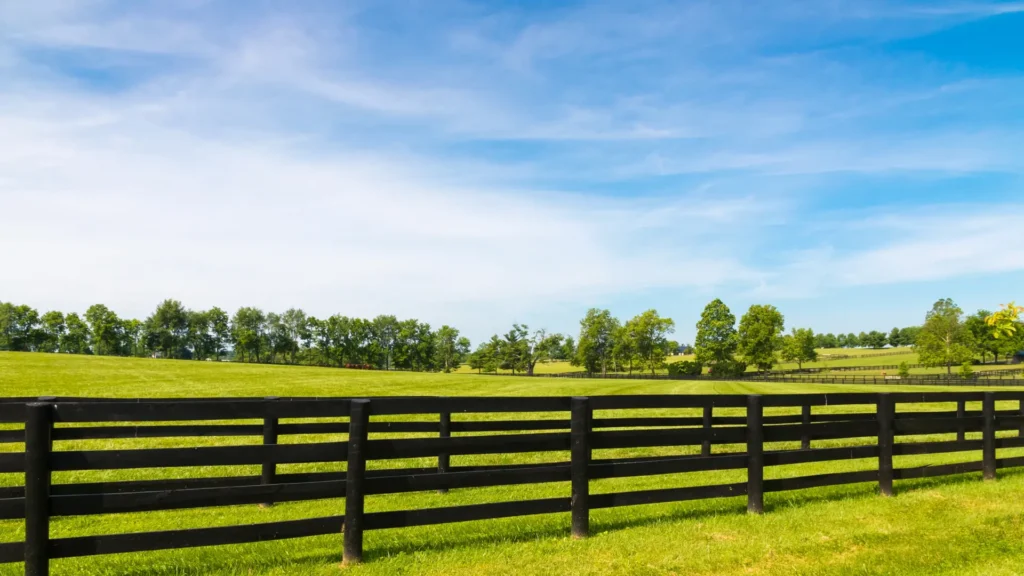 wooden post and rail fence capecod (1)